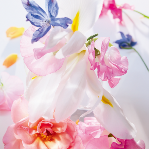 フレグランス ジオグラフィー