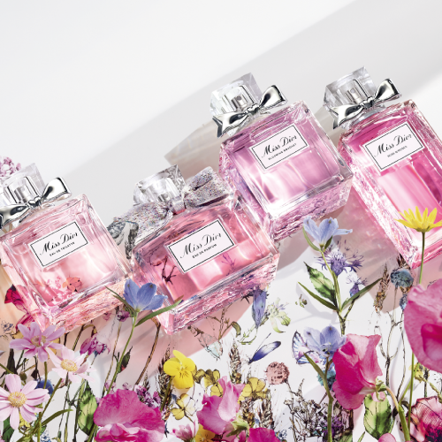 製品レンジ（レディース）